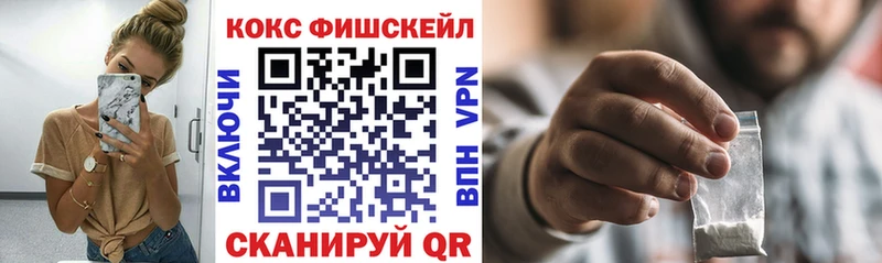 купить закладку  Мончегорск  COCAIN Fish Scale 