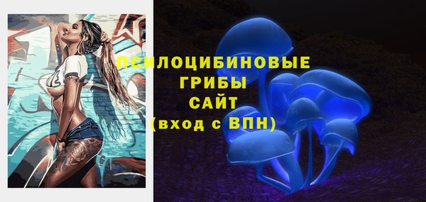 тгк Вязьма