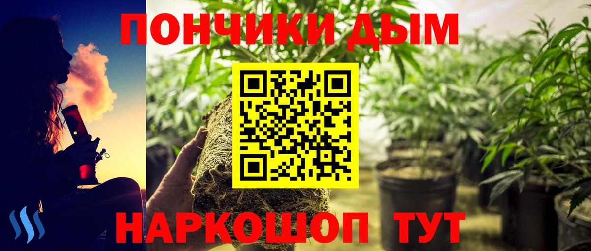 Шишки марихуана THC 21%  Вход с VPN  Мончегорск  Бошки марихуана White Widow 